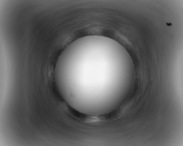X0000086240083200704121941