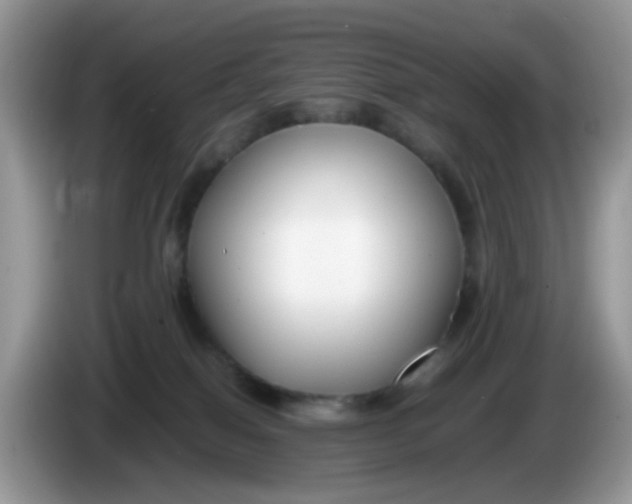 X0000086240086200704121941