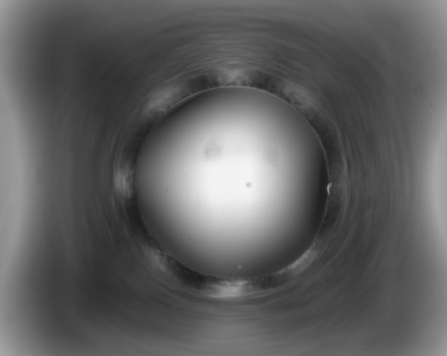X0000086240090200704121941
