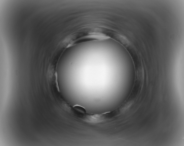 X0000086240092200704121941