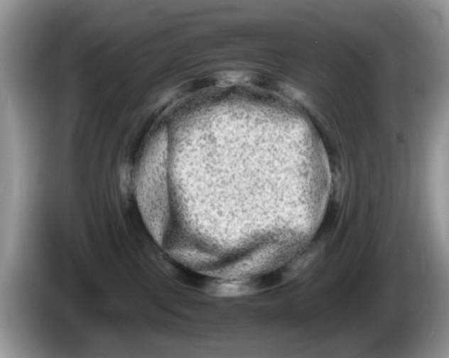X0000086240093200704121941