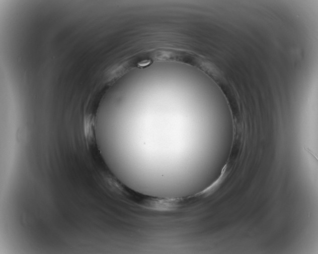 X0000086240094200704121941