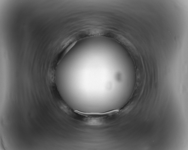 X0000086240096200704121941