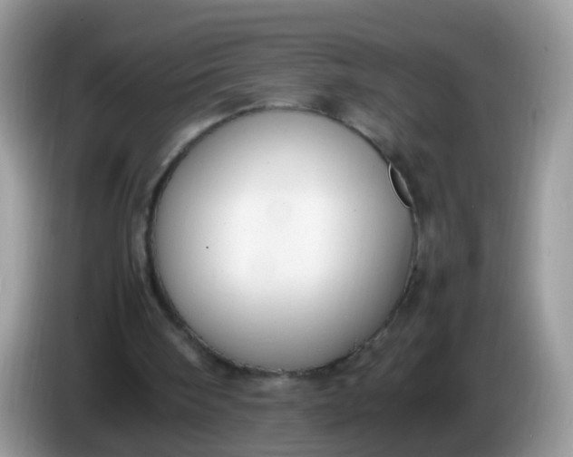 X0000086240098200704121941