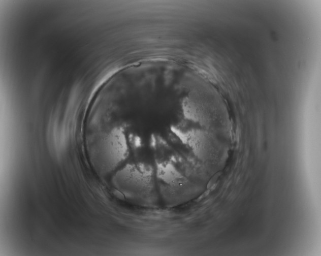 X0000086240099200704121941