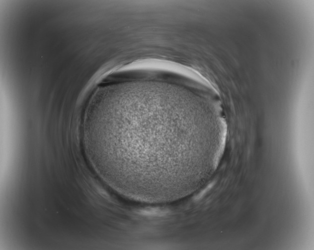 X0000086240101200704121941