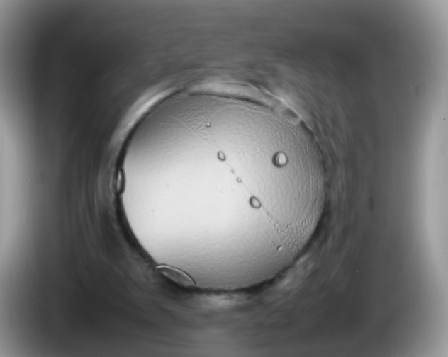 X0000086240103200704121941