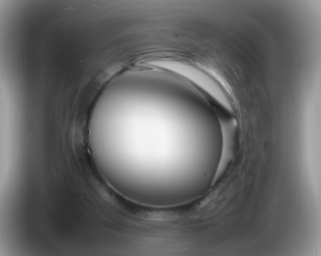 X0000086240105200704121940