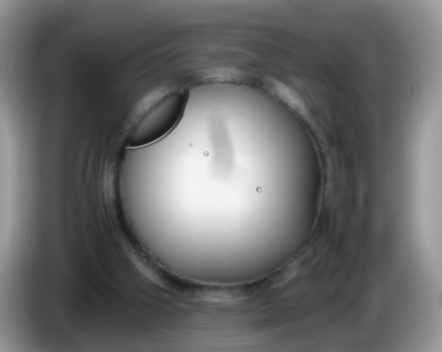 X0000086240106200704121940