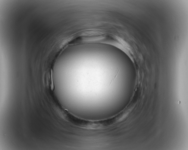 X0000086240109200704121940