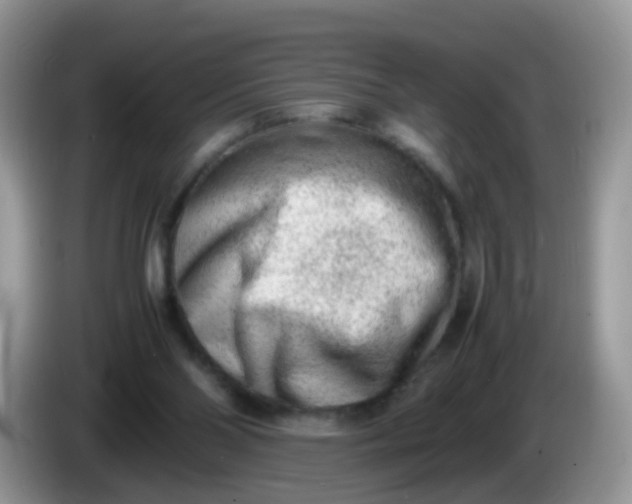 X0000086240110200704121940