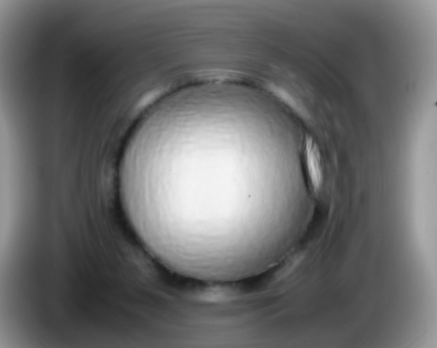 X0000086240111200704121940