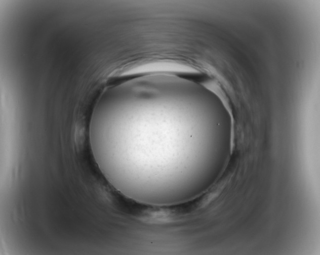 X0000086240113200704121940
