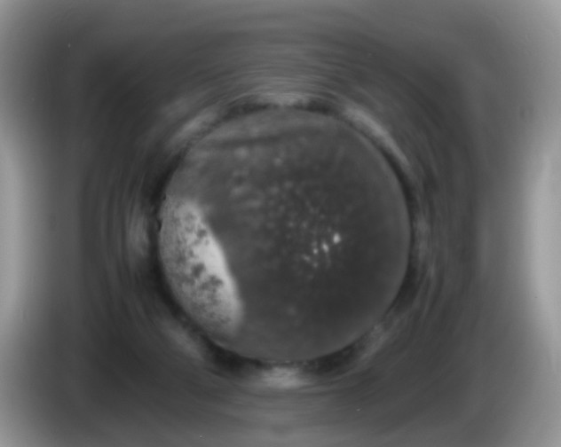 X0000086240114200704121940