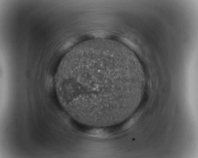 X0000086240117200704121940