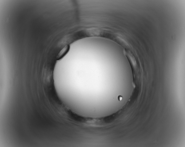 X0000086240125200704121940