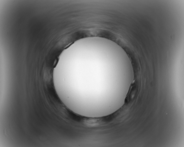 X0000086240129200704121940