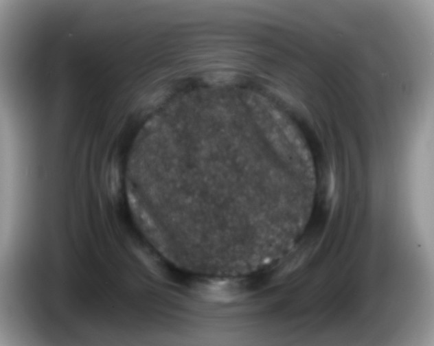 X0000086240130200704121940
