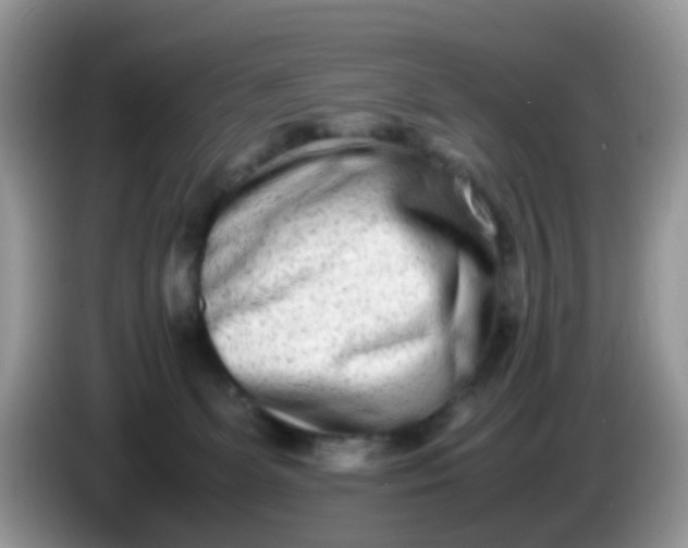 X0000086240131200704121940