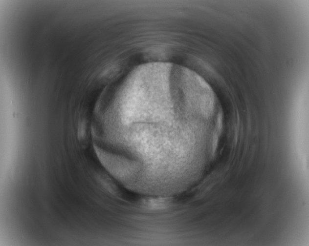 X0000086240134200704121940