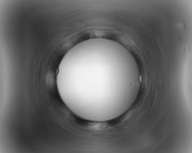 X0000086240135200704121940