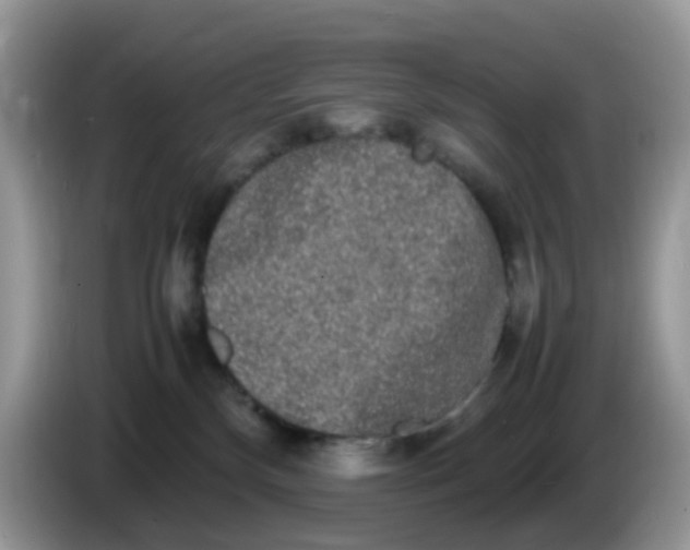 X0000086240136200704121940