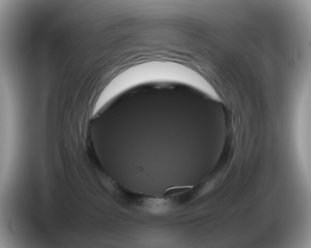X0000086240139200704121940