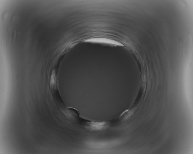 X0000086240143200704121940