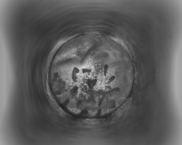 X0000086240145200704121939