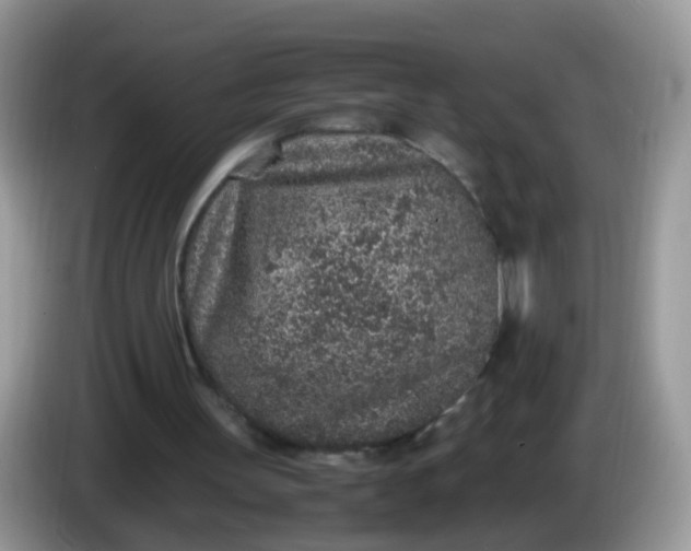X0000086240147200704121939