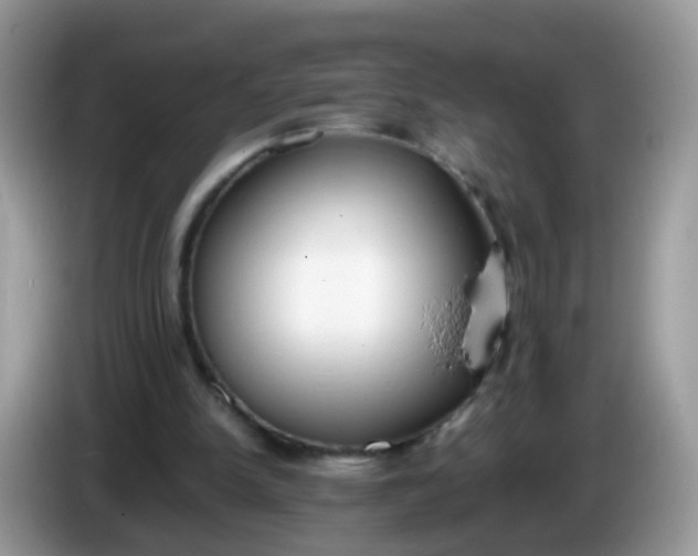 X0000086240150200704121940