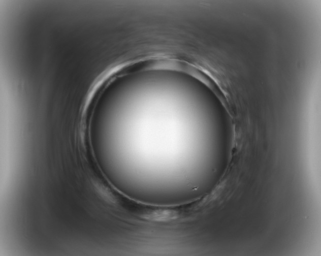 X0000086240152200704121940