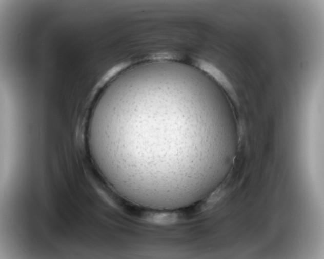 X0000086240155200704121940