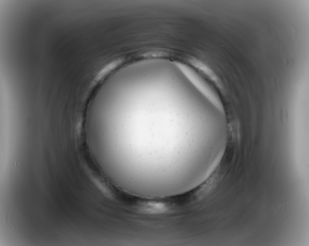 X0000086240159200704121940