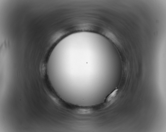 X0000086240160200704121940