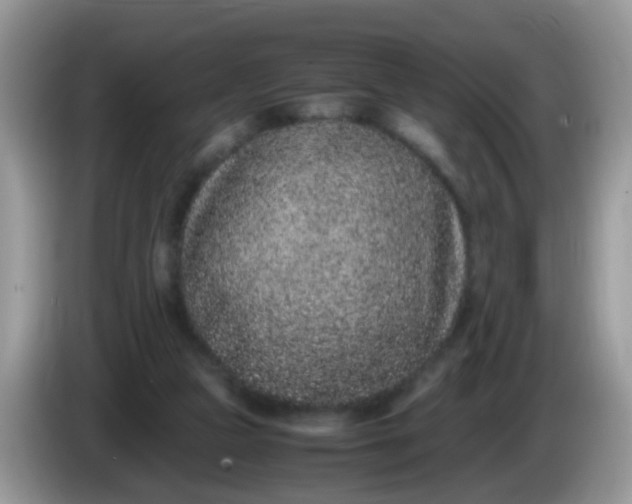 X0000086240161200704121940