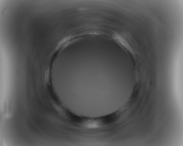 X0000086240163200704121940