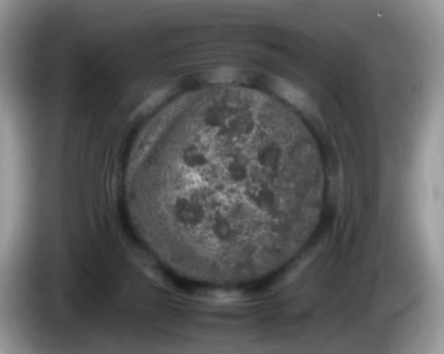 X0000086240165200704121940