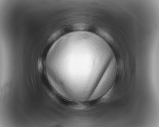 X0000086240166200704121940