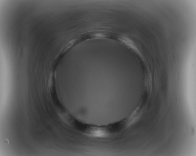 X0000086240167200704121940