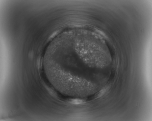 X0000086240168200704121940