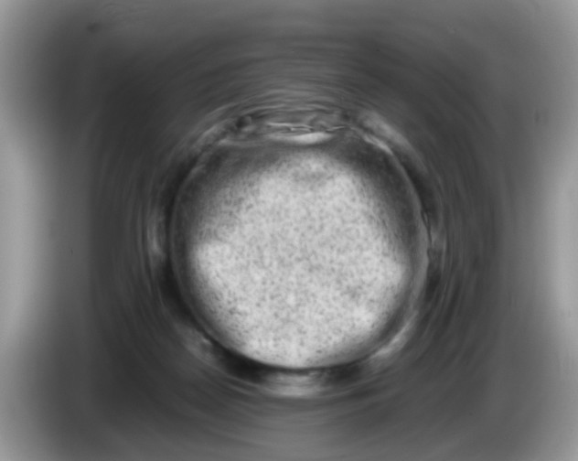 X0000086240170200704121940