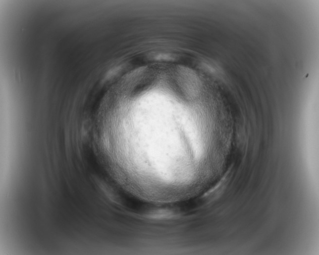 X0000086240175200704121940
