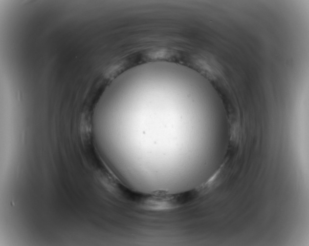 X0000086240179200704121940