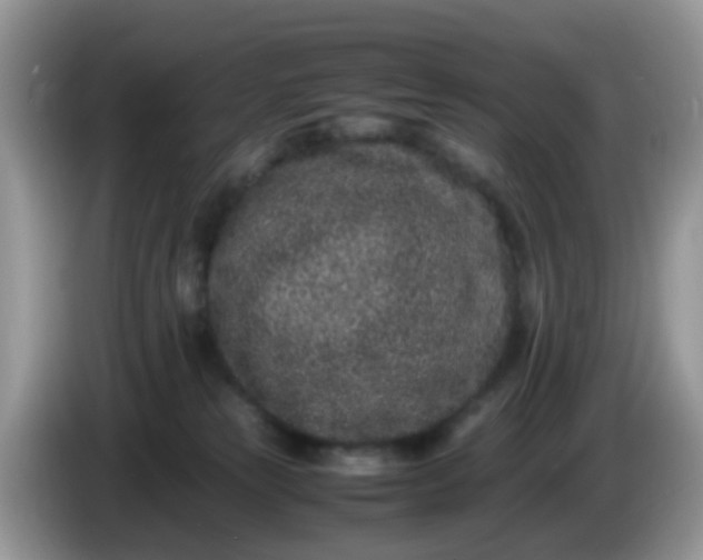 X0000086240181200704121940