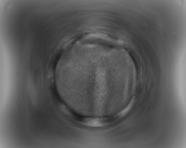 X0000086240182200704121940