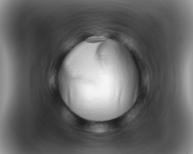 X0000086240185200704121940