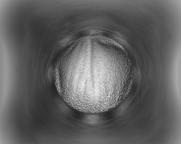 X0000086240189200704121940
