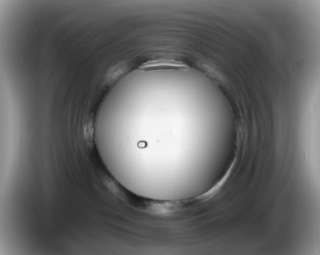 X0000086240190200704121940