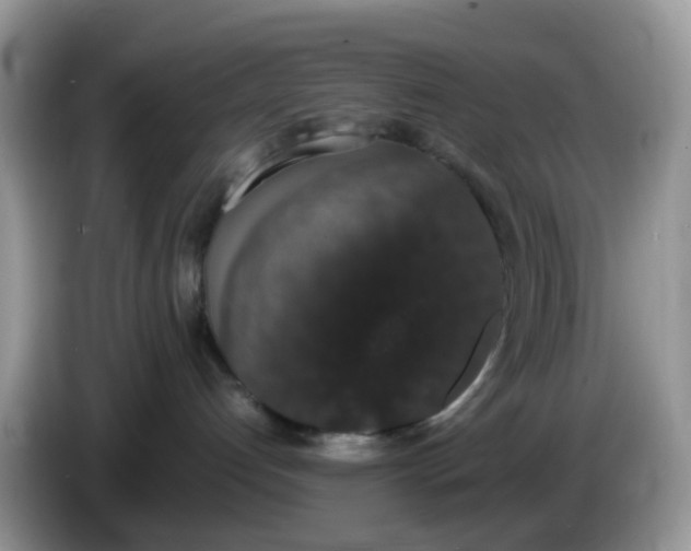 X0000086240192200704121940